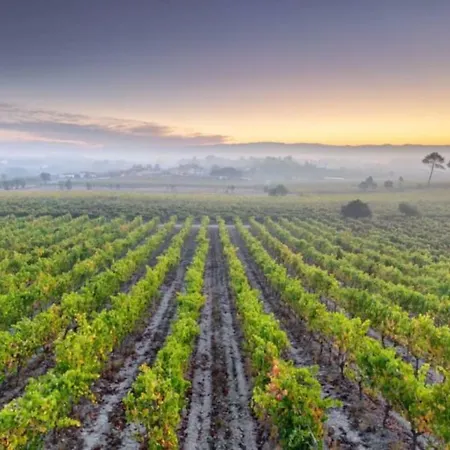 Acolhedor E Elegante Em Prédio Típico - Self Check In