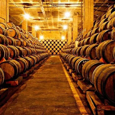 Acolhedor E Elegante Em Prédio Típico - Self Check In Appartement *