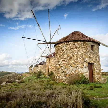 Acolhedor E Elegante Em Prédio Típico - Self Check In *