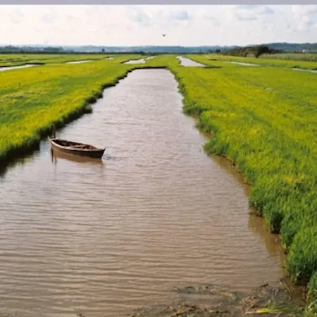 Appartement Acolhedor E Elegante Em Prédio Típico - Self Check In *