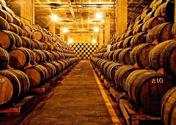 Acolhedor E Elegante Em Prédio Típico - Self Check In Appartement *