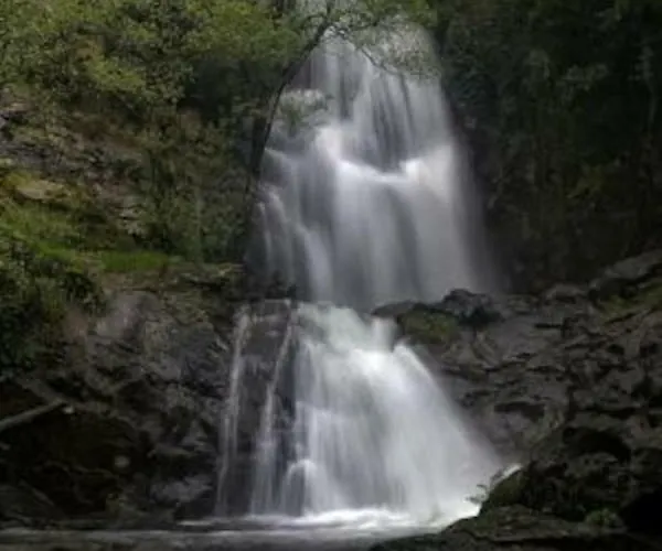 Acolhedor E Elegante Em Prédio Típico - Self Check In
