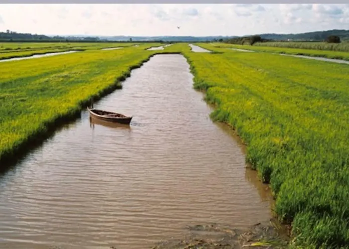 Appartement Acolhedor E Elegante Em Prédio Típico - Self Check In *