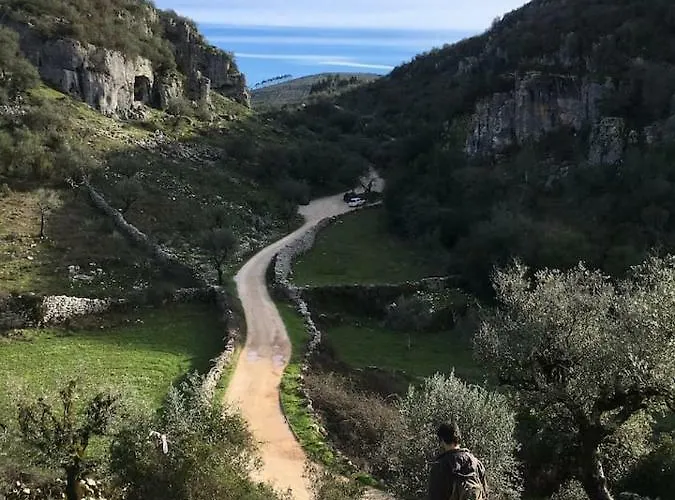 Acolhedor E Elegante Em Prédio Típico - Self Check In * Coïmbre